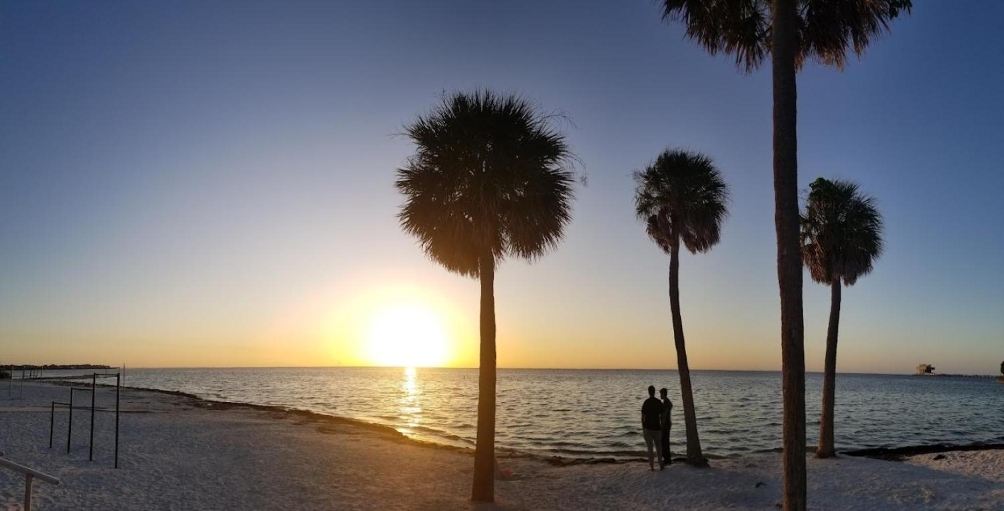 Elegant Studio Apartment In Downtown St Pete - Great Community Events! 세인트피터즈버그 외부 사진